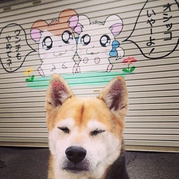 IM体育官网入口-三笘薰存在感拉满，马里横扫毕尔巴鄂，一场战术与意志的胜利