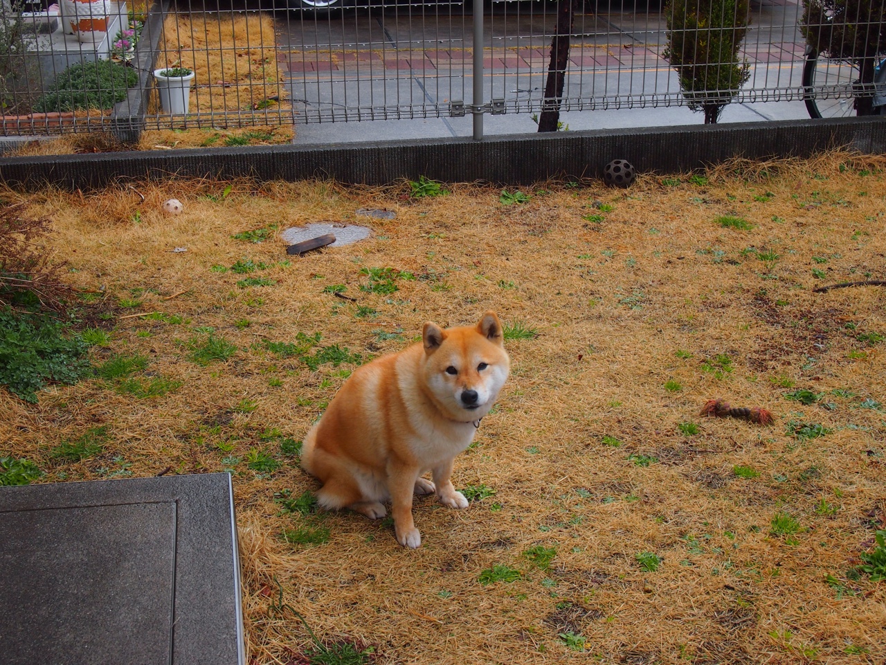 魔术粉碎掘金，欧文发挥堪称完美